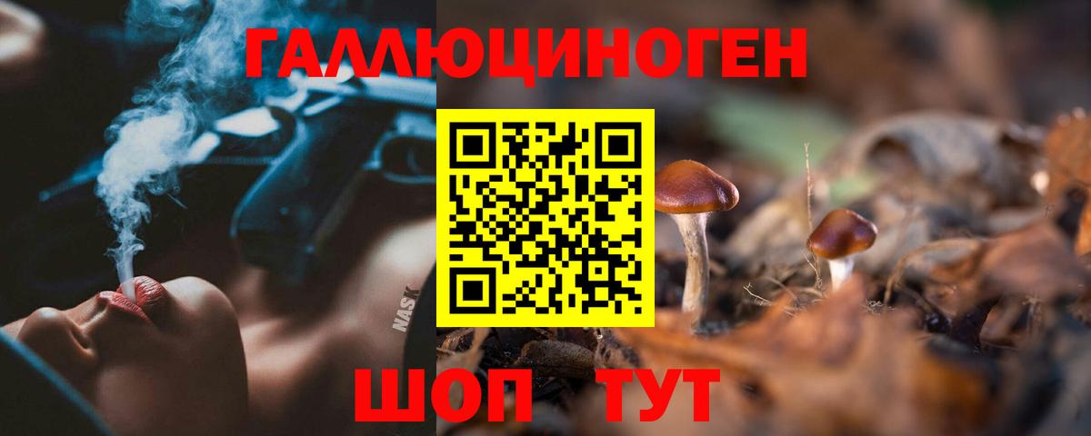 Краснодар  Псилоцибиновые грибы мицелий  Вход с VPN 