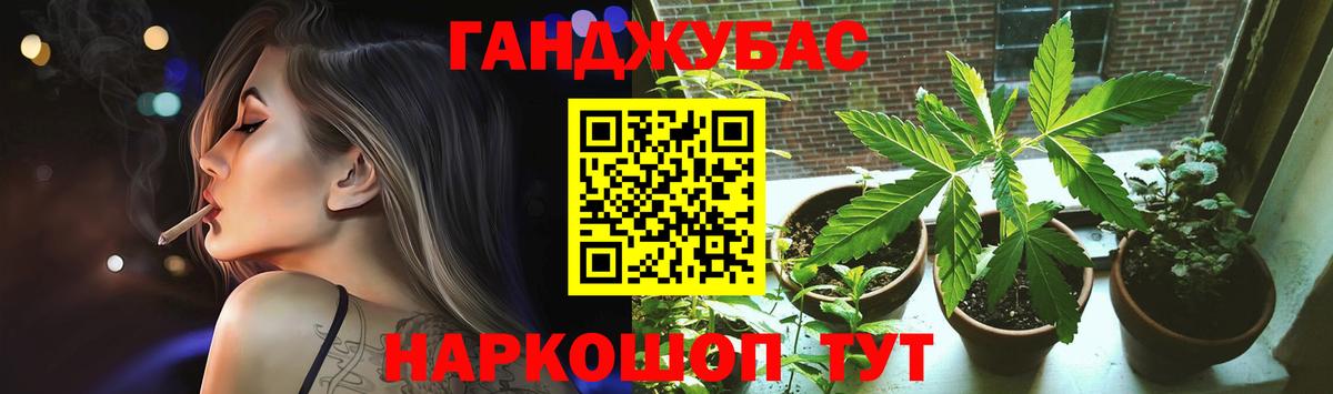 Канабис сатива Краснодар